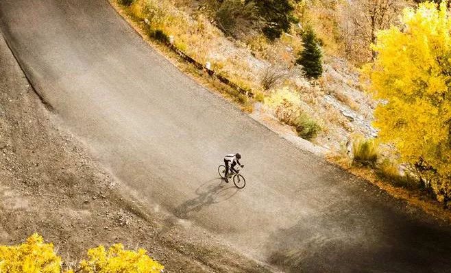 只是因为它们从未忘记自己能做些什么